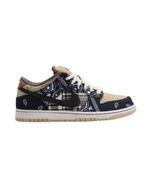 Travis Scott Cactus Jack Dunks